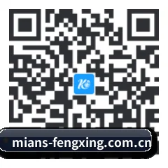 系统版 Android 二维码